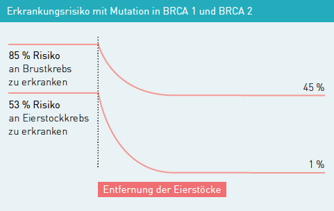 Eierstockentfernung gebärmutter und Gebärmutterentfernung: Wie